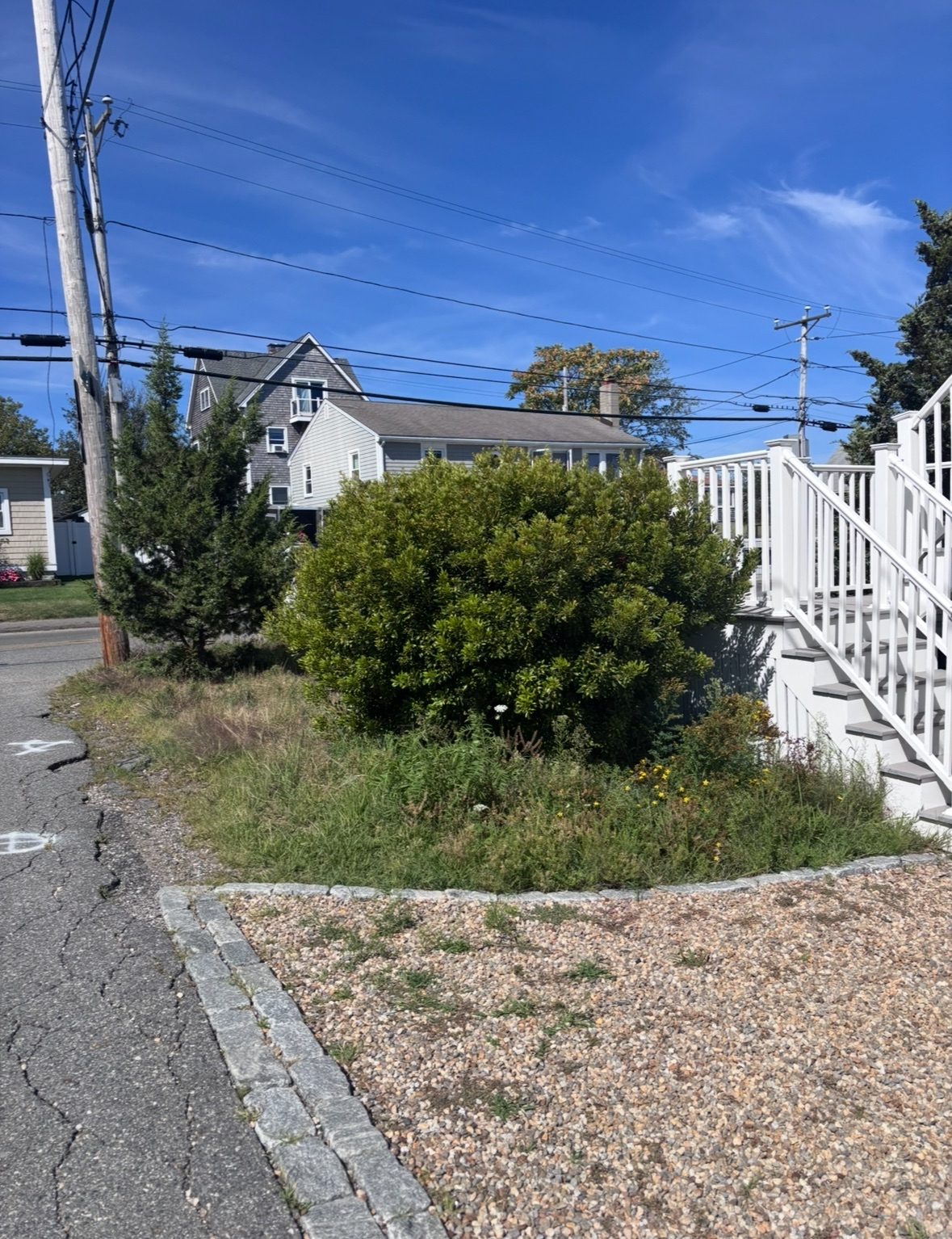Trimmed edges along a white picket fence