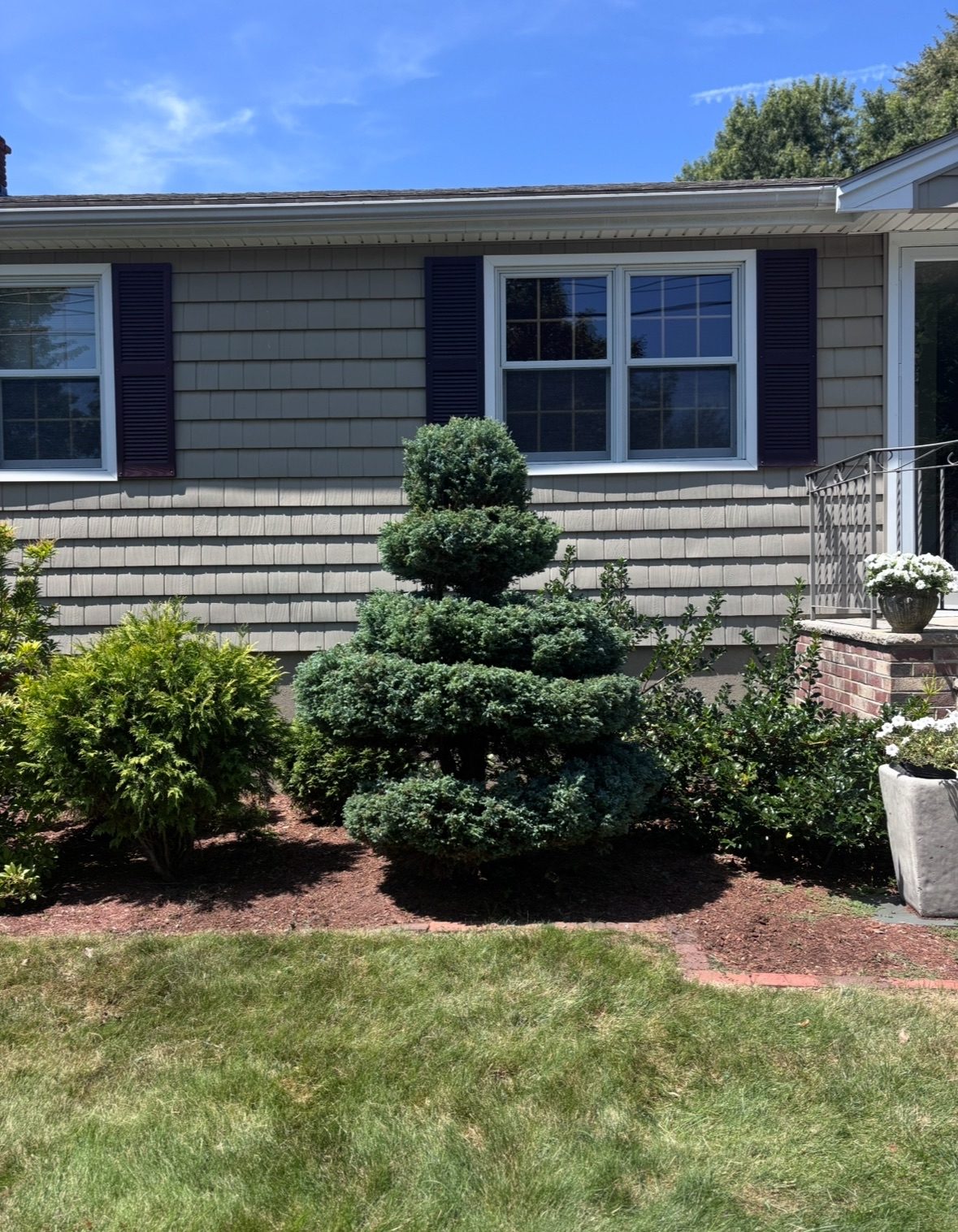 Shaped hedges and clean property edges
