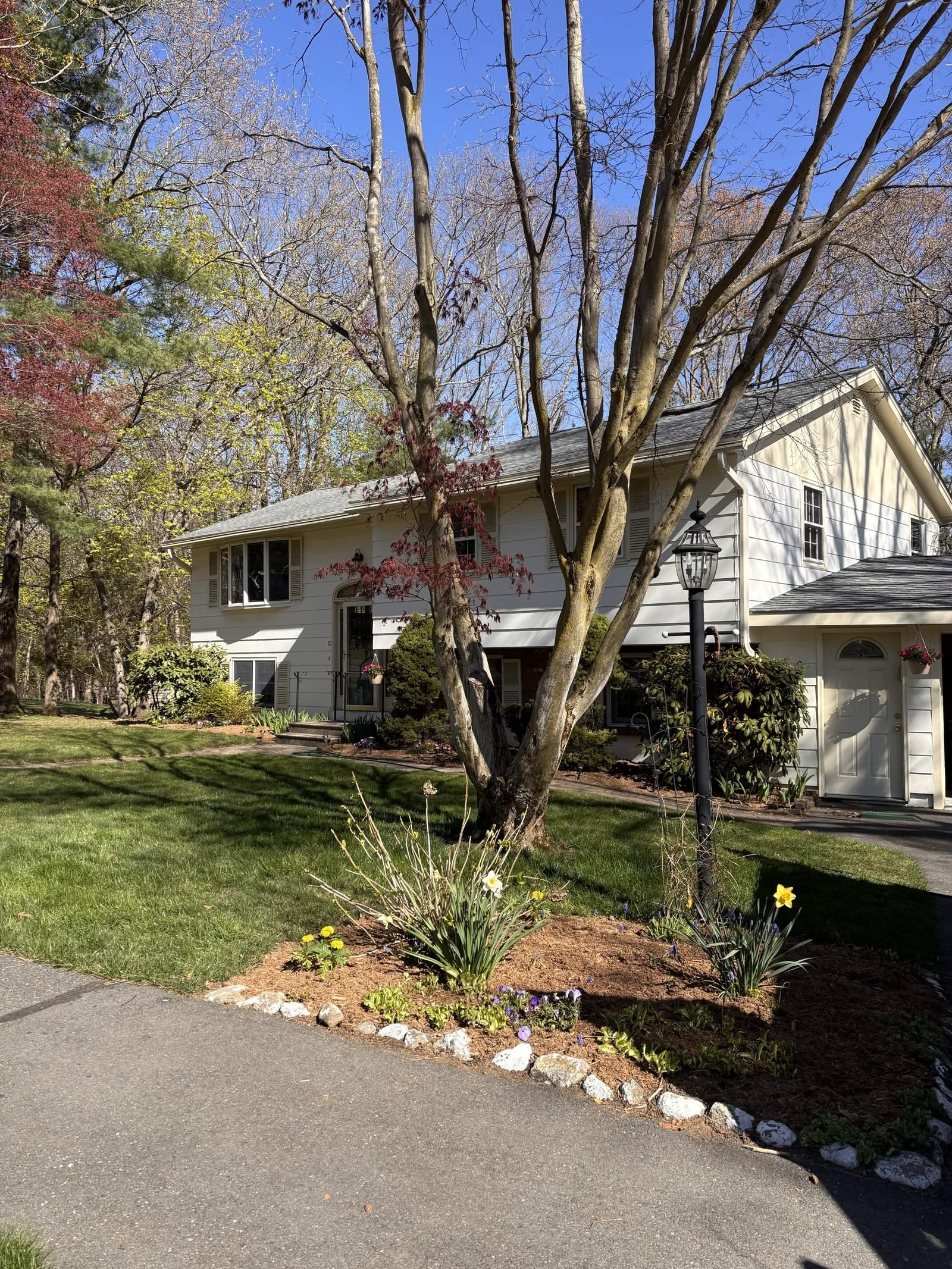 Maintained front yard with flower beds and stone edging