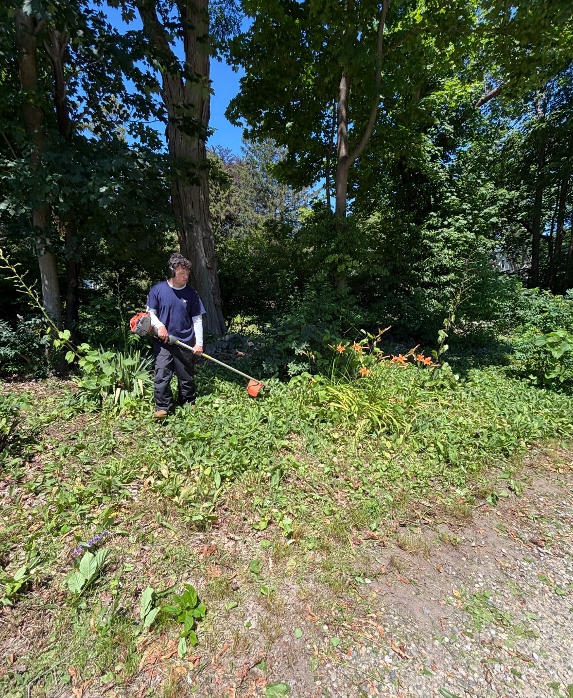 Marron Brothers Landscaping mowing a lawn on the North Shore