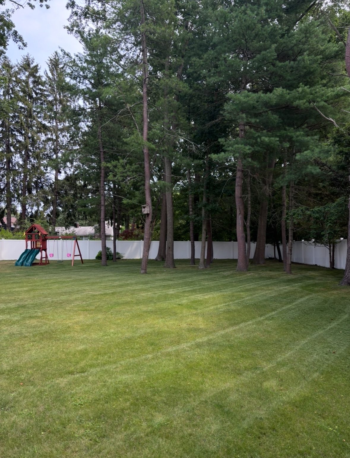 Freshly mowed backyard with clean stripes