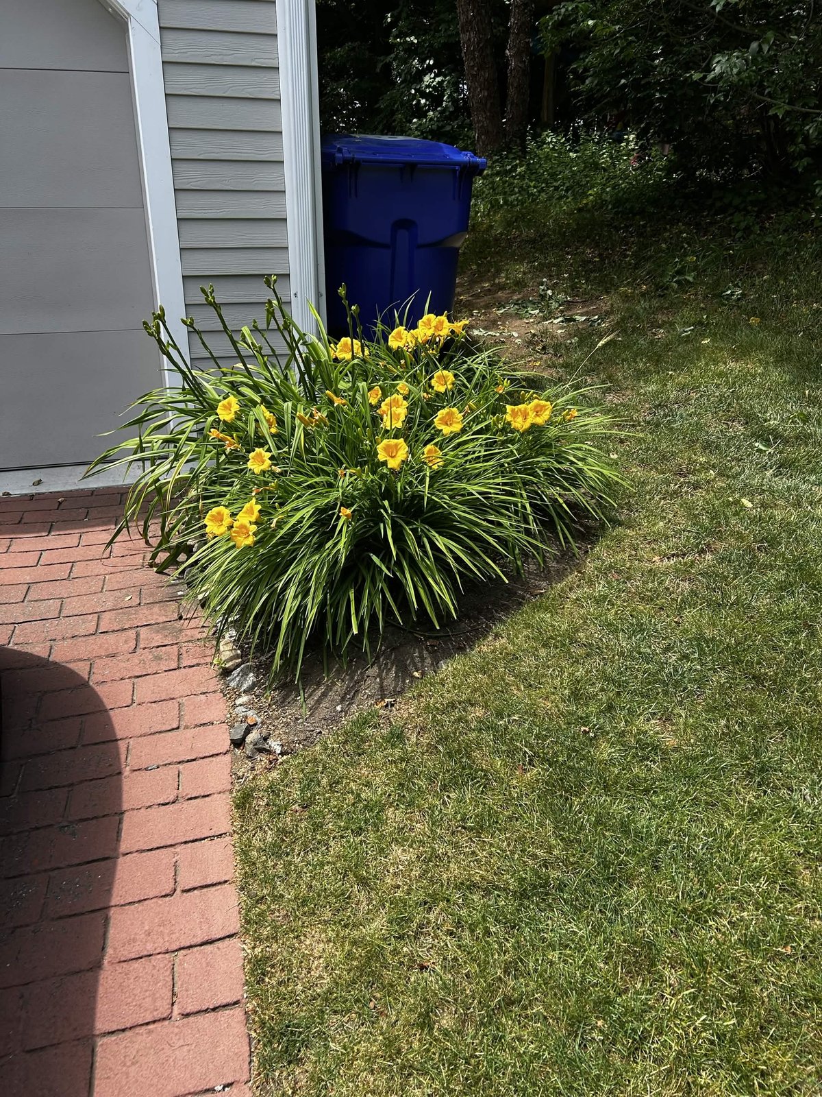 Planting bed before mulch installation on the North Shore