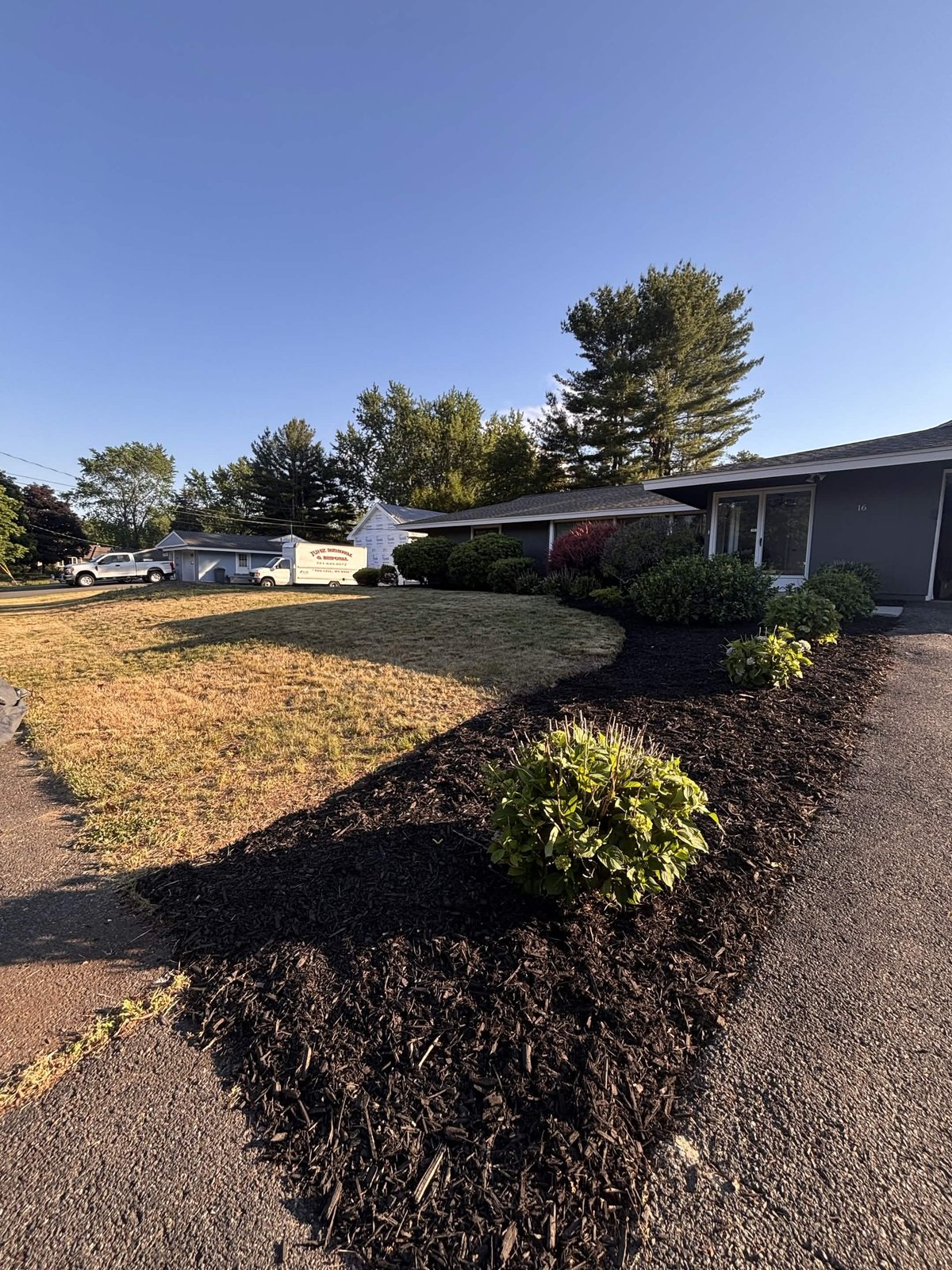 New mulch bed with healthy shrubs after installation