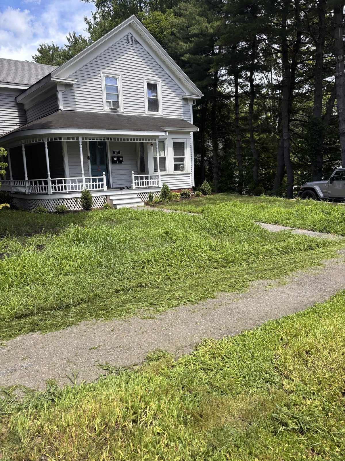 Weedy overgrown front yard before service