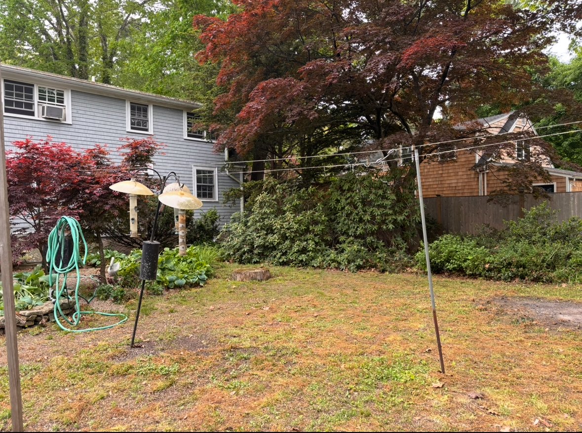 Backyard fully cleaned up and restored for a homeowner