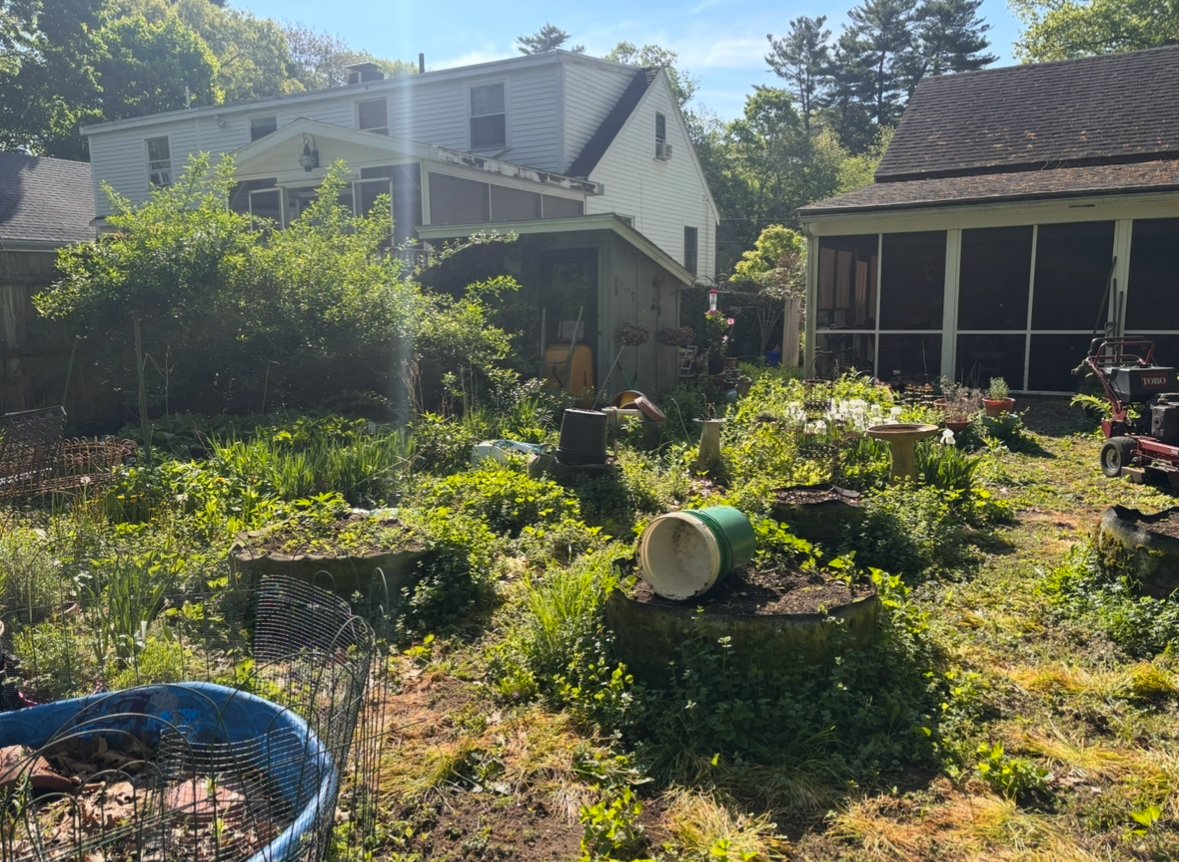 Landscape Transformations - photo 1