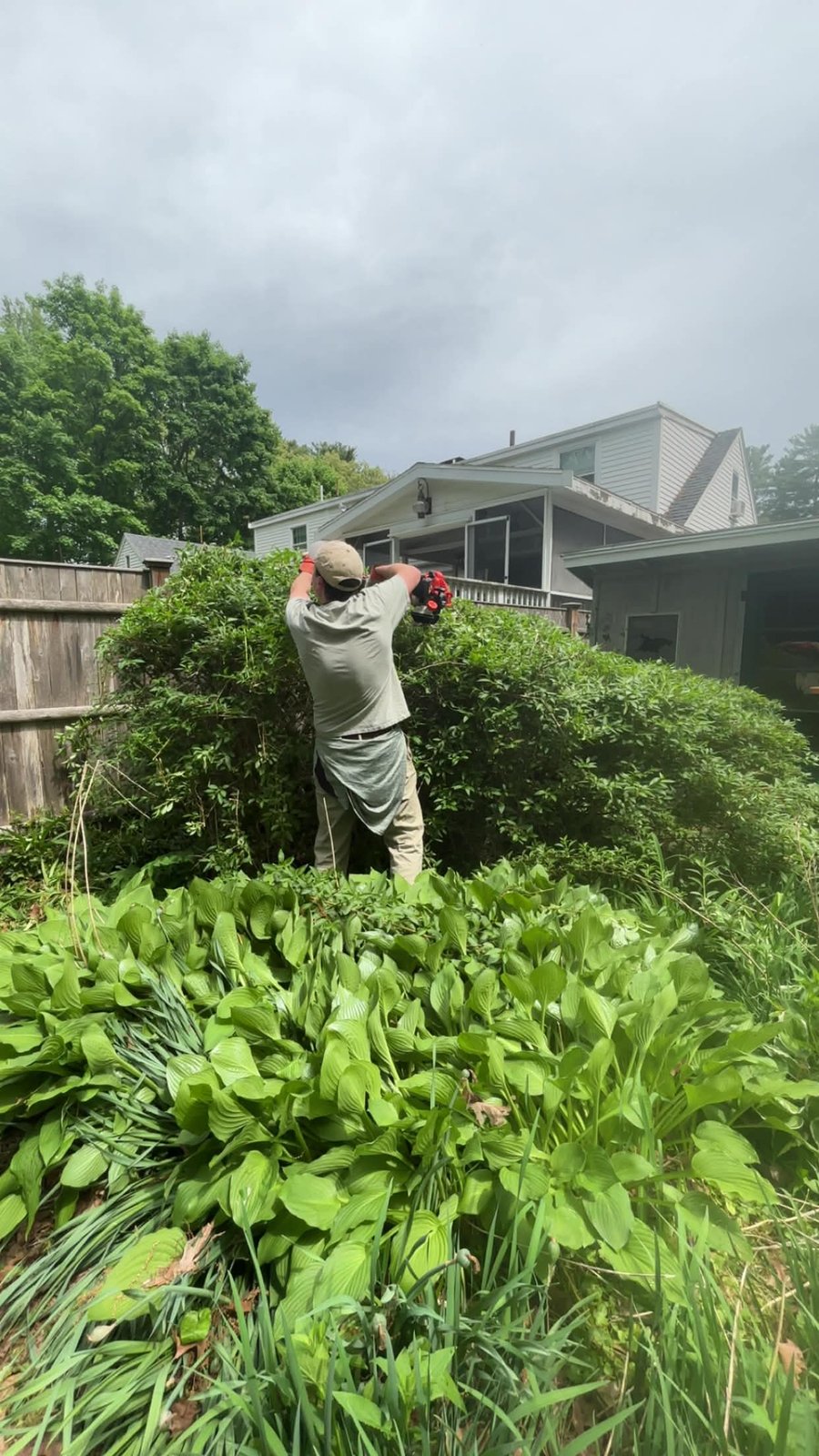 Bush & Hedge Trimming - photo 1